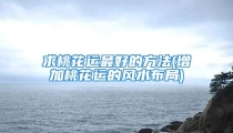 求桃花运最好的方法(增加桃花运的风水布局)