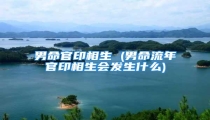 男命官印相生 (男命流年官印相生会发生什么)