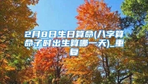 2月8日生日算命(八字算命子时出生算哪一天)_重复