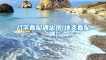 八字看配偶出现(地支看配偶)