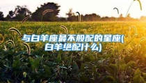 与白羊座最不般配的星座(白羊绝配什么)