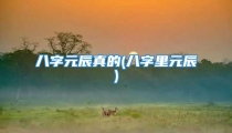 八字元辰真的(八字里元辰)