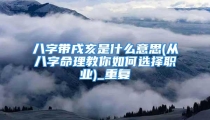 八字带戌亥是什么意思(从八字命理教你如何选择职业)_重复