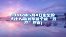 2007年5月4日出生的人什么命(新年首个被“双开”厅官)