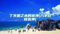 丁火是乙木的食神(八字日柱食神)
