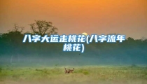 八字大运走桃花(八字流年桃花)