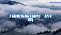 八卦图解析(八卦每一卦详解)