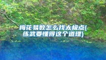 梅花易数怎么找太极点(练武要懂得这个道理)