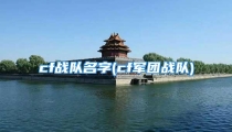 cf战队名字(cf军团战队)