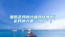 农历正月初六适合结婚吗(正月初六是“马日”)