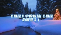 《易经》中的智慧(《易经的智慧》)