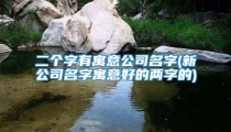 二个字有寓意公司名字(新公司名字寓意好的两字的)