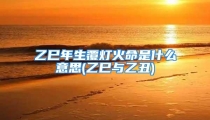 乙巳年生覆灯火命是什么意思(乙巳与乙丑)