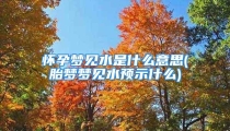 怀孕梦见水是什么意思(胎梦梦见水预示什么)