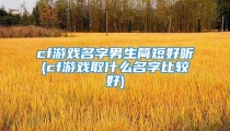 cf游戏名字男生简短好听(cf游戏取什么名字比较好)