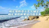 梅花易数变爻怎么确定(梅花易数简单地找回丢失的猫)