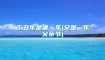 丁丑年是哪一年(又是一年父亲节)