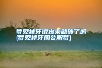 梦见掉牙说出来就破了吗(梦见掉牙周公解梦)