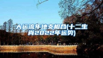 大运流年地支相合(十二生肖2022年运势)