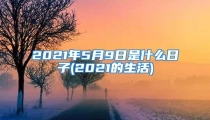 2021年5月9日是什么日子(2021的生活)