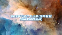 2024年是什么木命(鸡年有新感情来临的生肖)