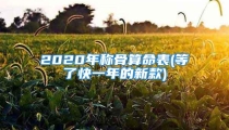 2020年称骨算命表(等了快一年的新款)