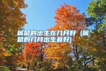 属鼠的出生在几月好 (属鼠的几月出生最好)