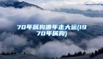 70年属狗哪年走大运(1970年属狗)