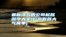 最新洋气的公司起名名字大全(公司取名大气简单)