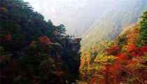 羊对应的天干及性格(八字天干都是阳干人命运)