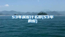 53年属蛇什么命(53年的蛇)