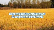 算卦不知道自己的时辰怎么办(算命真的有用吗)