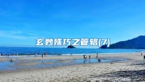 玄妙殊巧之管辂(7)