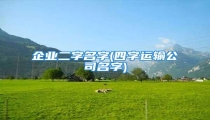 企业二字名字(四字运输公司名字)