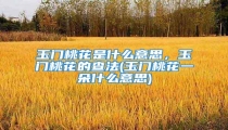 玉门桃花是什么意思,玉门桃花的查法(玉门桃花一朵什么意思)