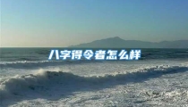 八字得令者怎么样