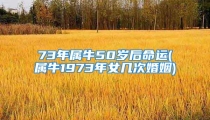 73年属牛50岁后命运(属牛1973年女几次婚姻)