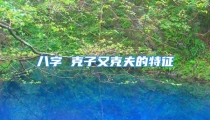 八字 克子又克夫的特征