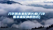 八字测未来配偶长相(八字看未来配偶的姓氏)