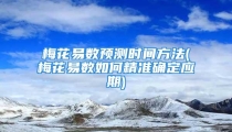 梅花易数预测时间方法(梅花易数如何精准确定应期)