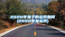 2020年兔子的运势如何(2020年兔运势)