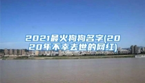 2021最火狗狗名字(2020年不幸去世的网红)