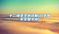 十二地支子水详解(八字地支全是子水)