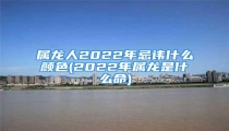 属龙人2022年忌讳什么颜色(2022年属龙是什么命)