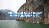 2020年是五行什么年(2020年五行属什么年)