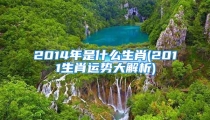 2014年是什么生肖(2011生肖运势大解析)