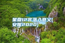 星盘12宫落入意义(安妮2020)