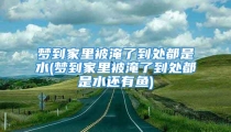 梦到家里被淹了到处都是水(梦到家里被淹了到处都是水还有鱼)