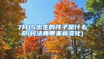 7月15出生的孩子是什么命(民法典带来新变化)