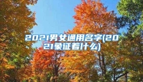 2021男女通用名字(2021象征着什么)